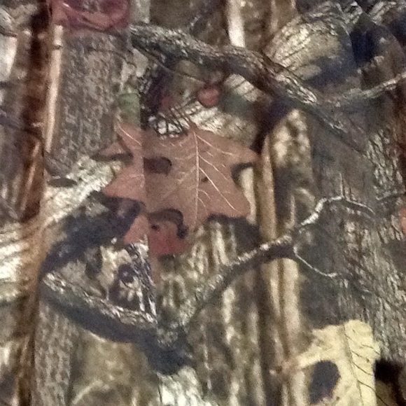 Paramount Outdoors Camo Predator Wild Boar Tee XL - Picture 6 of 7